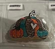 Cherry Pumpkin Freshies